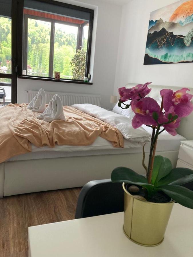 Best View Ap With Parking And 2 Bathrooms Синая Экстерьер фото